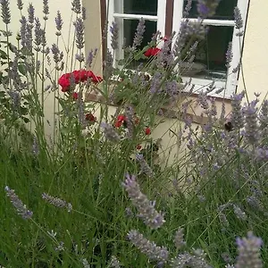  Apartment Im Einhornhaus Germany